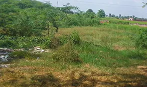 Haryana land project