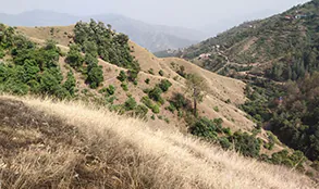 Himachal Pradesh land project